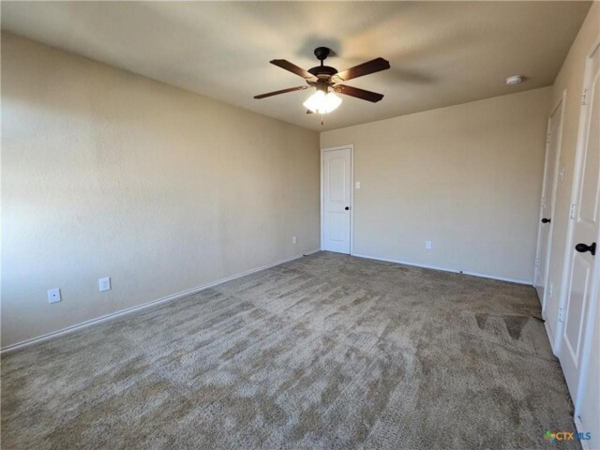 Picture of Home For Rent in New Braunfels, Texas, United States