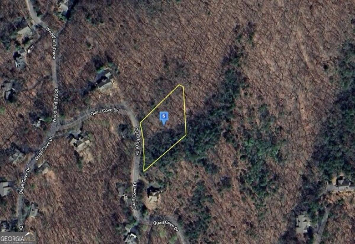 Picture of Residential Land For Sale in Jasper, Georgia, United States