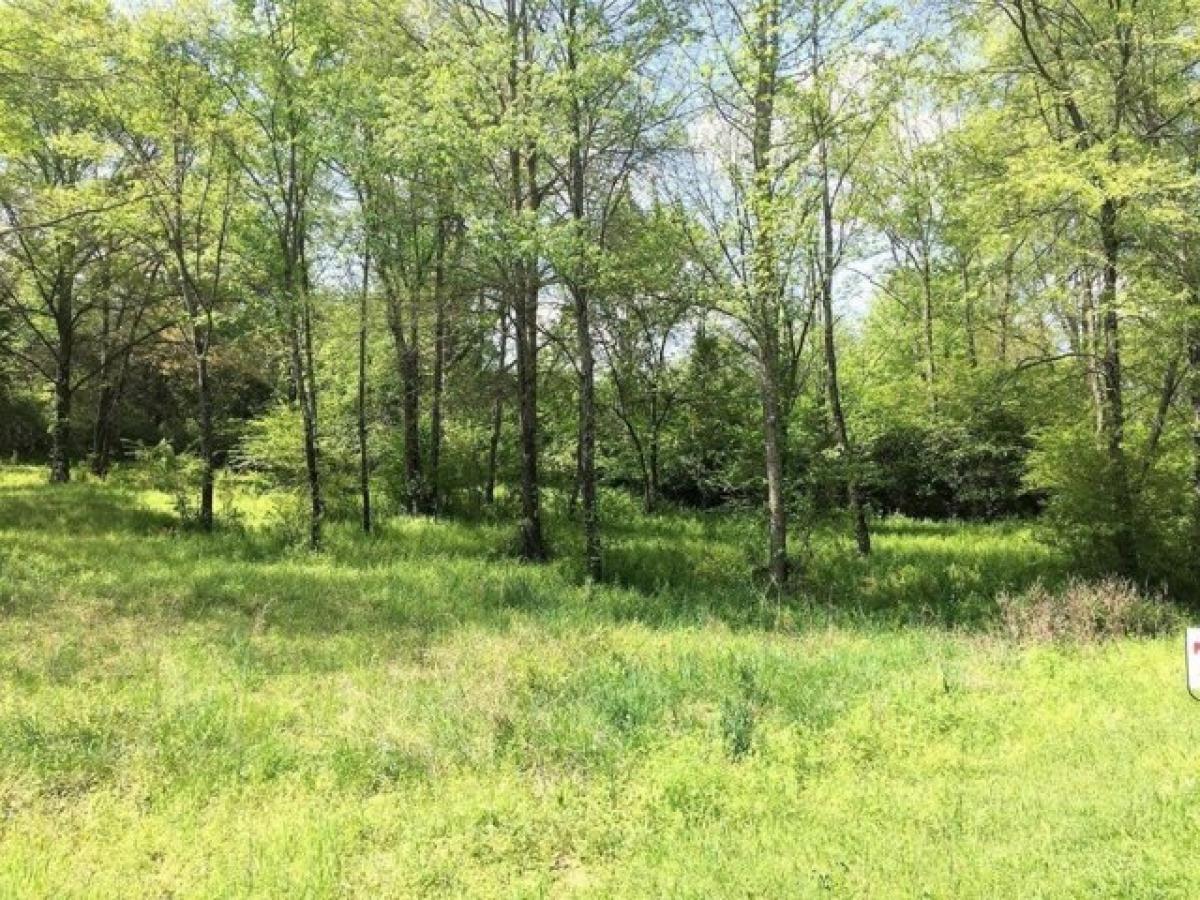 Picture of Residential Land For Sale in Dover, Arkansas, United States