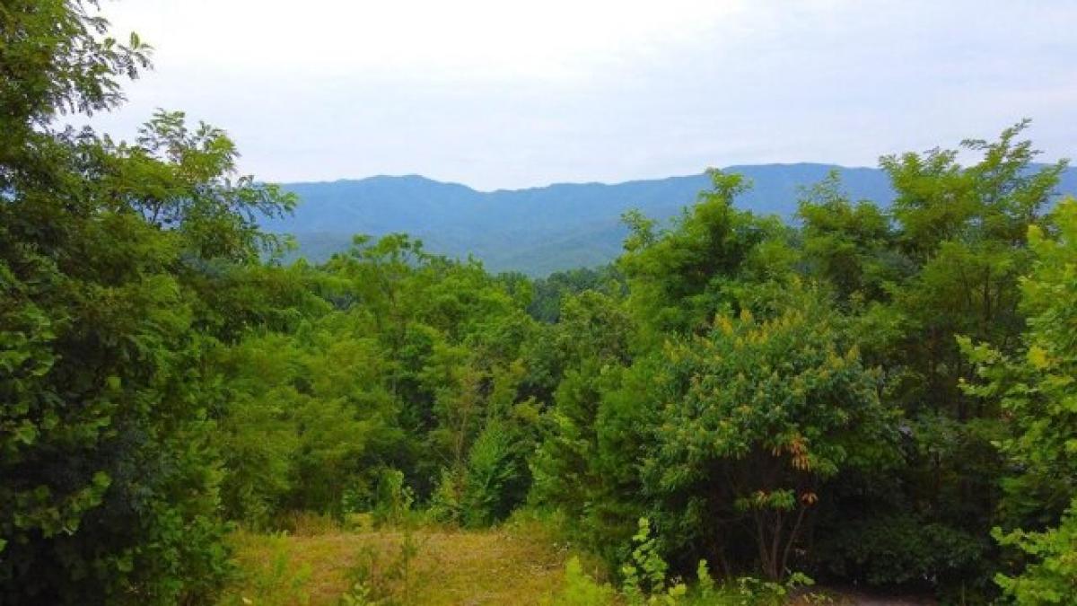 Picture of Residential Land For Sale in Gatlinburg, Tennessee, United States