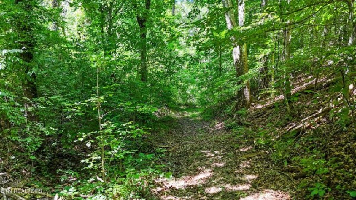 Picture of Residential Land For Sale in Clinton, Tennessee, United States