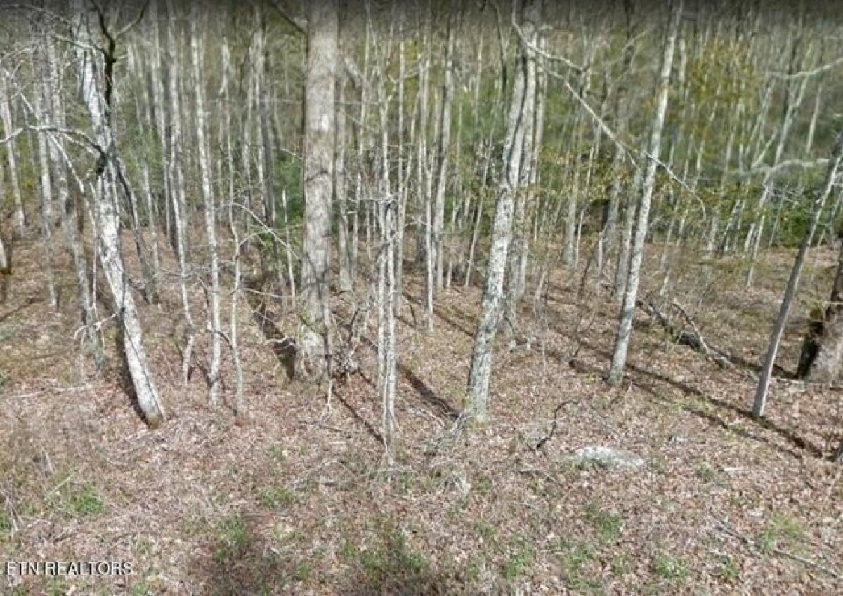 Picture of Residential Land For Sale in Crossville, Tennessee, United States