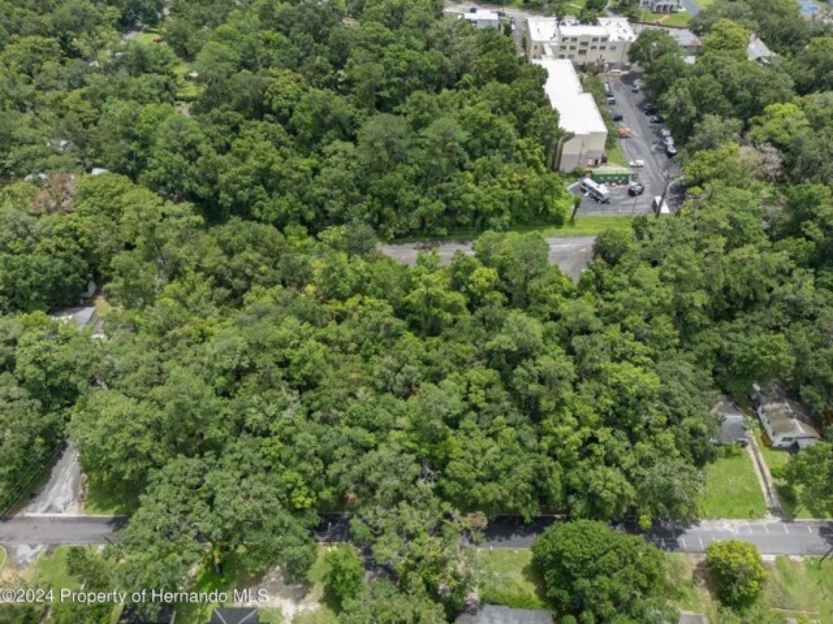 Picture of Residential Land For Sale in Brooksville, Florida, United States