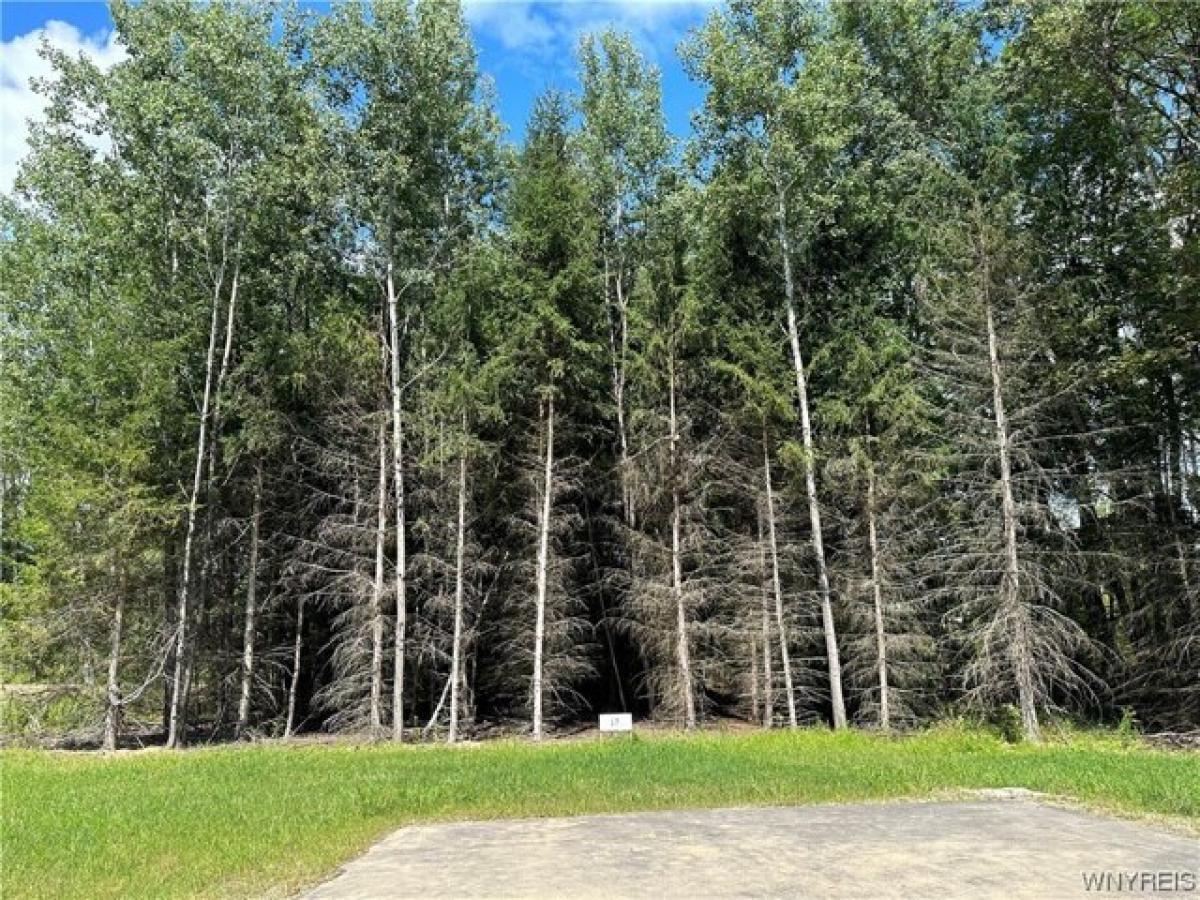 Picture of Residential Land For Sale in Allegany, New York, United States