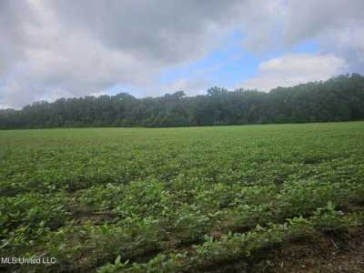 Residential Land For Sale in Canton, Mississippi