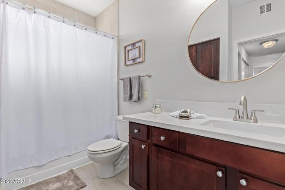 Picture of Apartment For Rent in Scottsdale, Arizona, United States