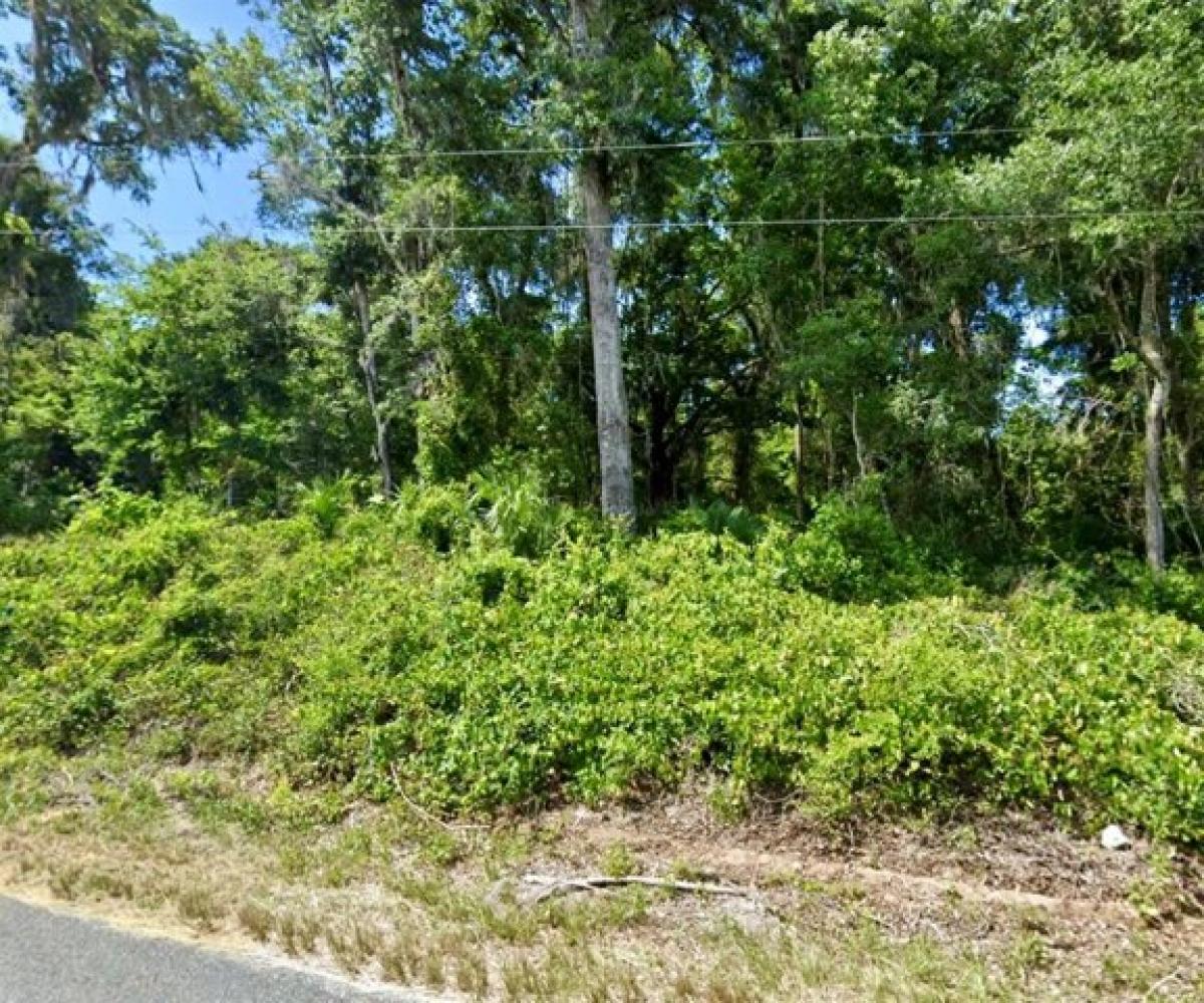 Picture of Residential Land For Sale in Summerfield, Florida, United States