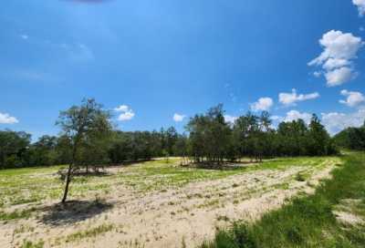 Residential Land For Sale in Ocala, Florida