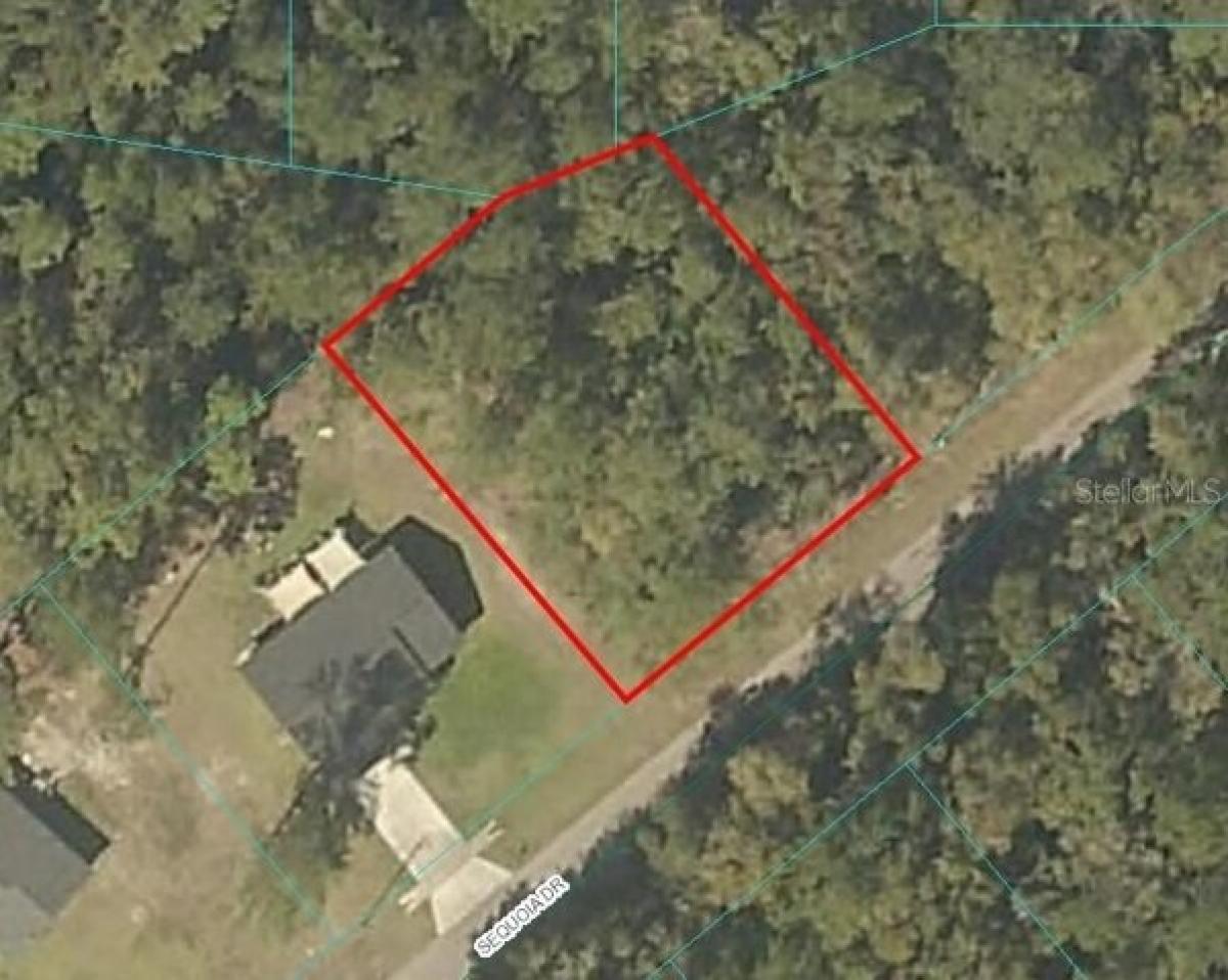 Picture of Residential Land For Sale in Ocklawaha, Florida, United States