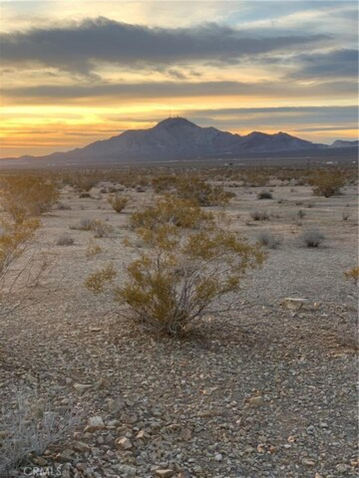Picture of Residential Land For Sale in Apple Valley, California, United States