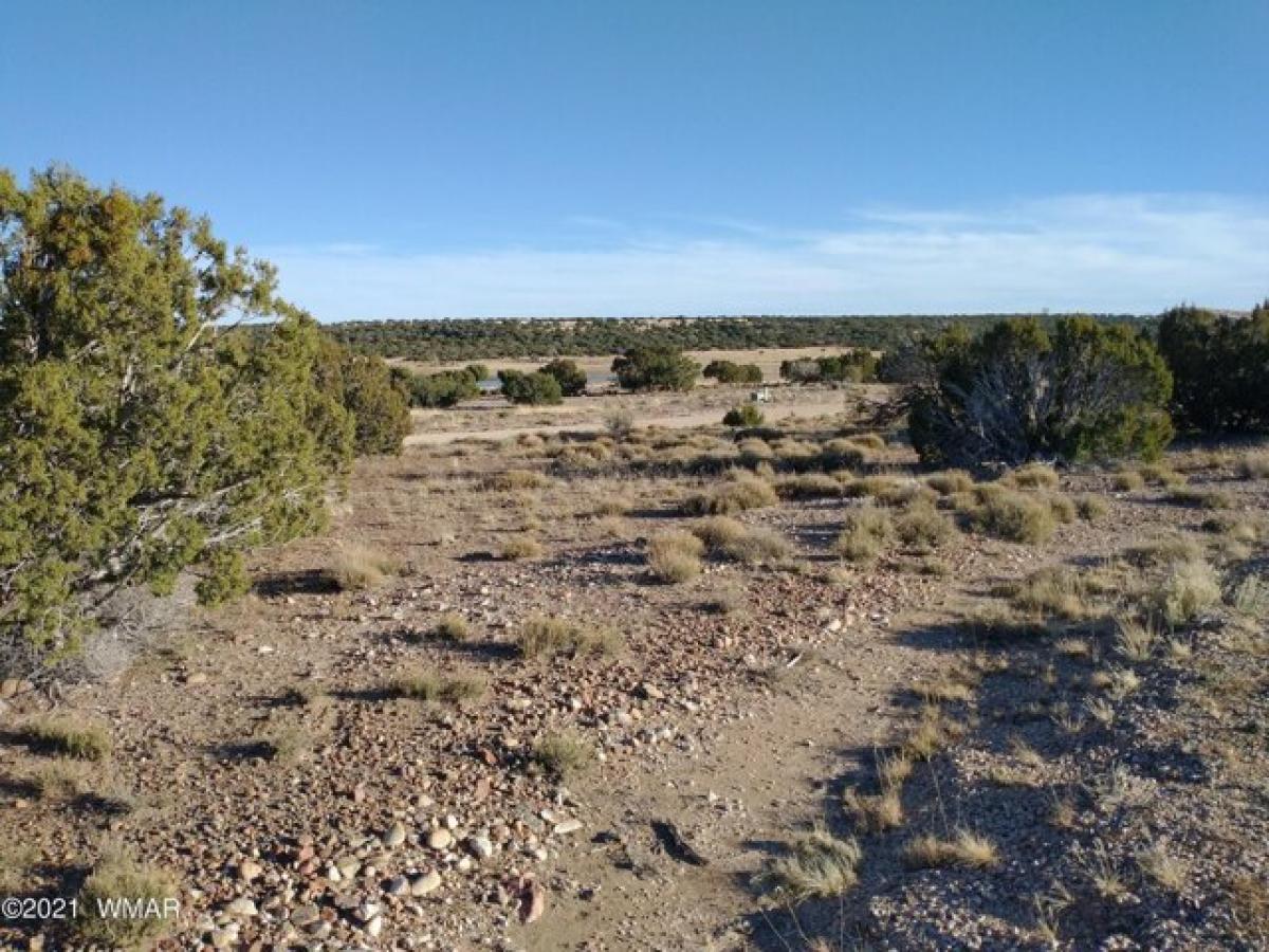 Picture of Residential Land For Sale in Concho, Arizona, United States