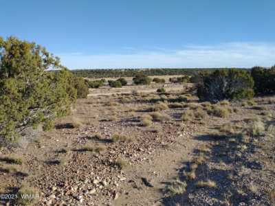 Residential Land For Sale in Concho, Arizona