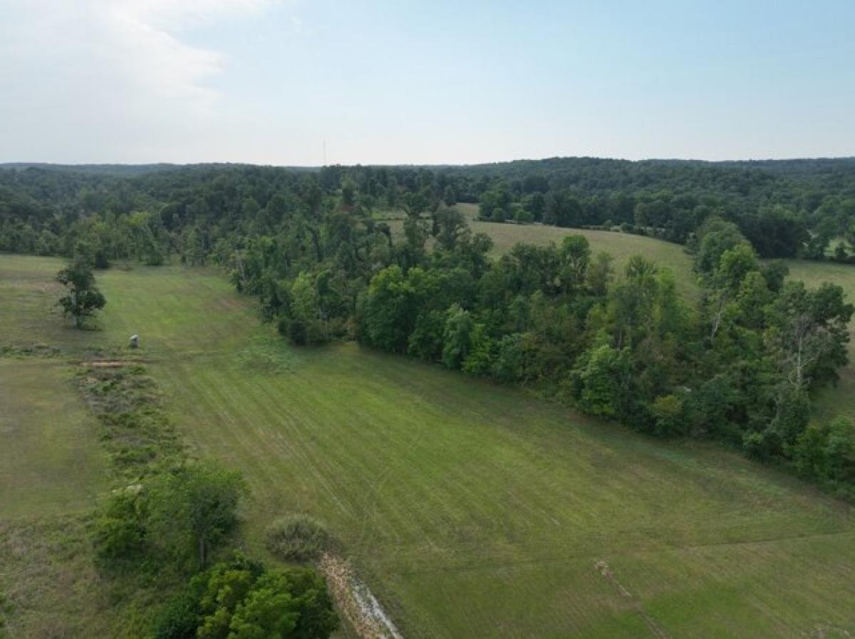 Picture of Residential Land For Sale in Dickson, Tennessee, United States