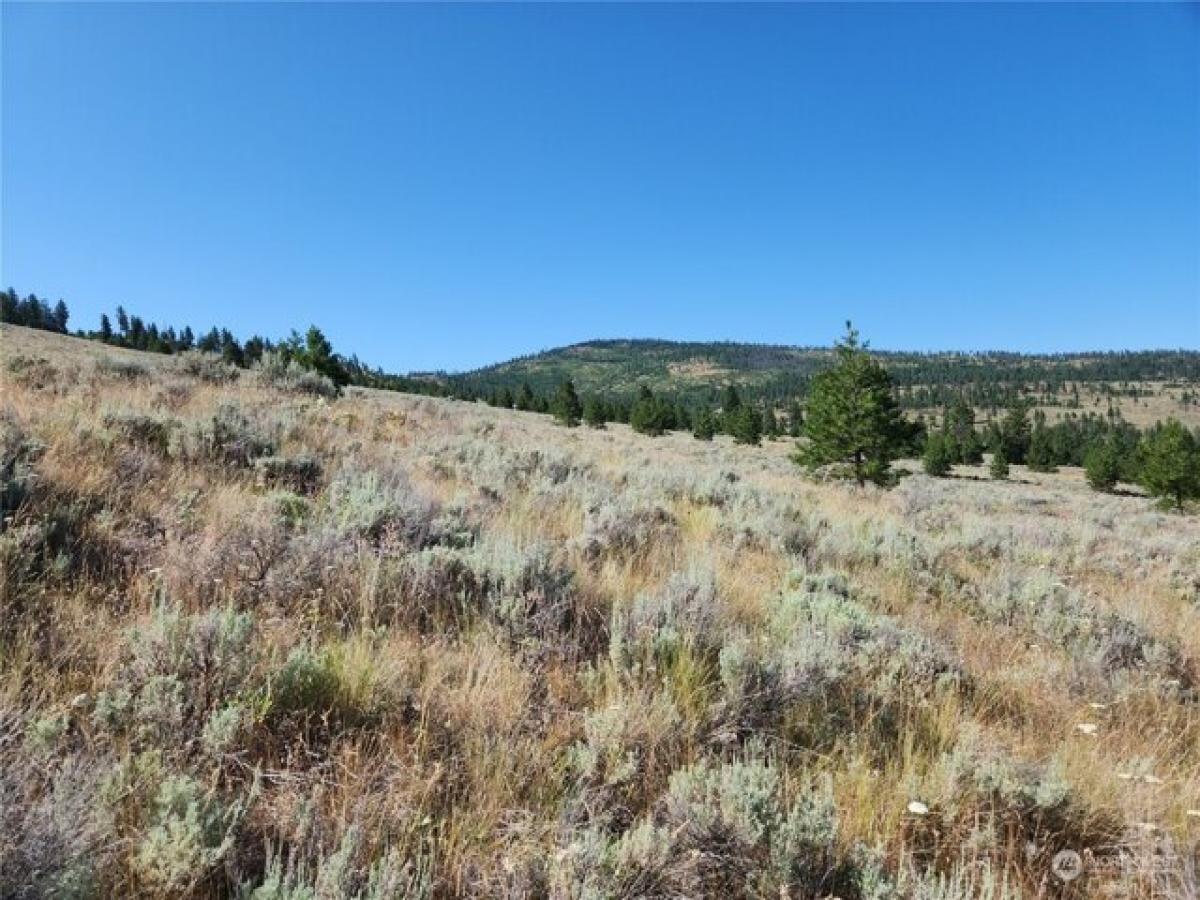Picture of Residential Land For Sale in Tonasket, Washington, United States