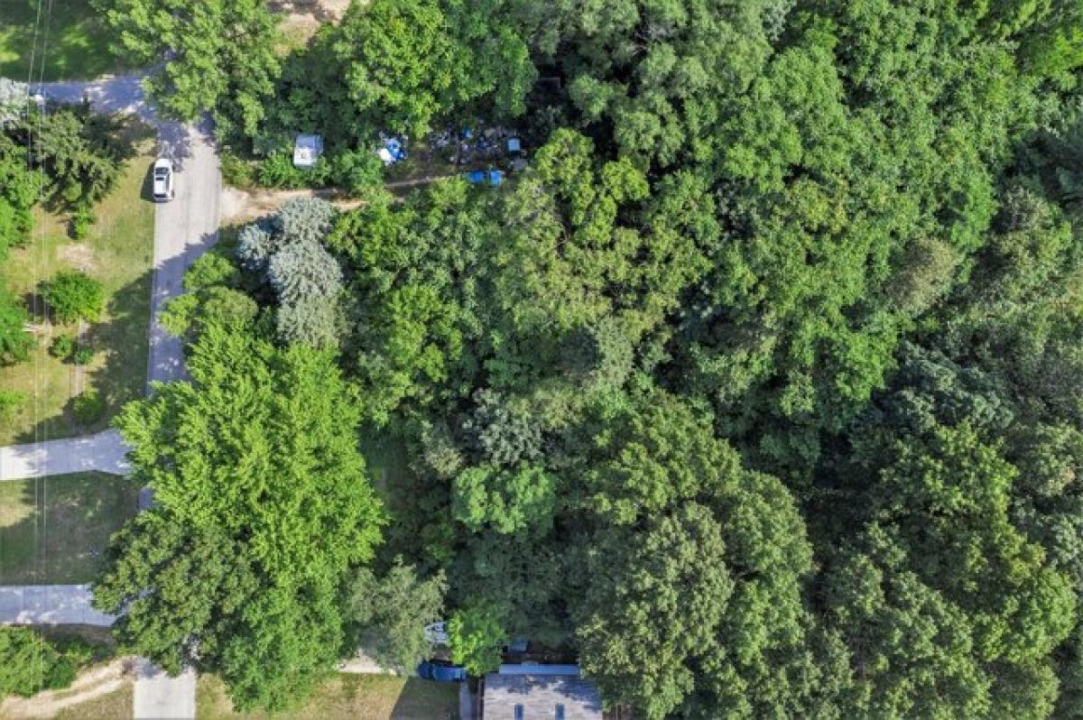 Picture of Residential Land For Rent in New Era, Michigan, United States