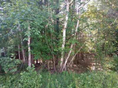 Residential Land For Rent in Gladwin, Michigan