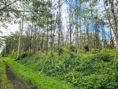 Residential Land For Rent in Pahoa, Hawaii
