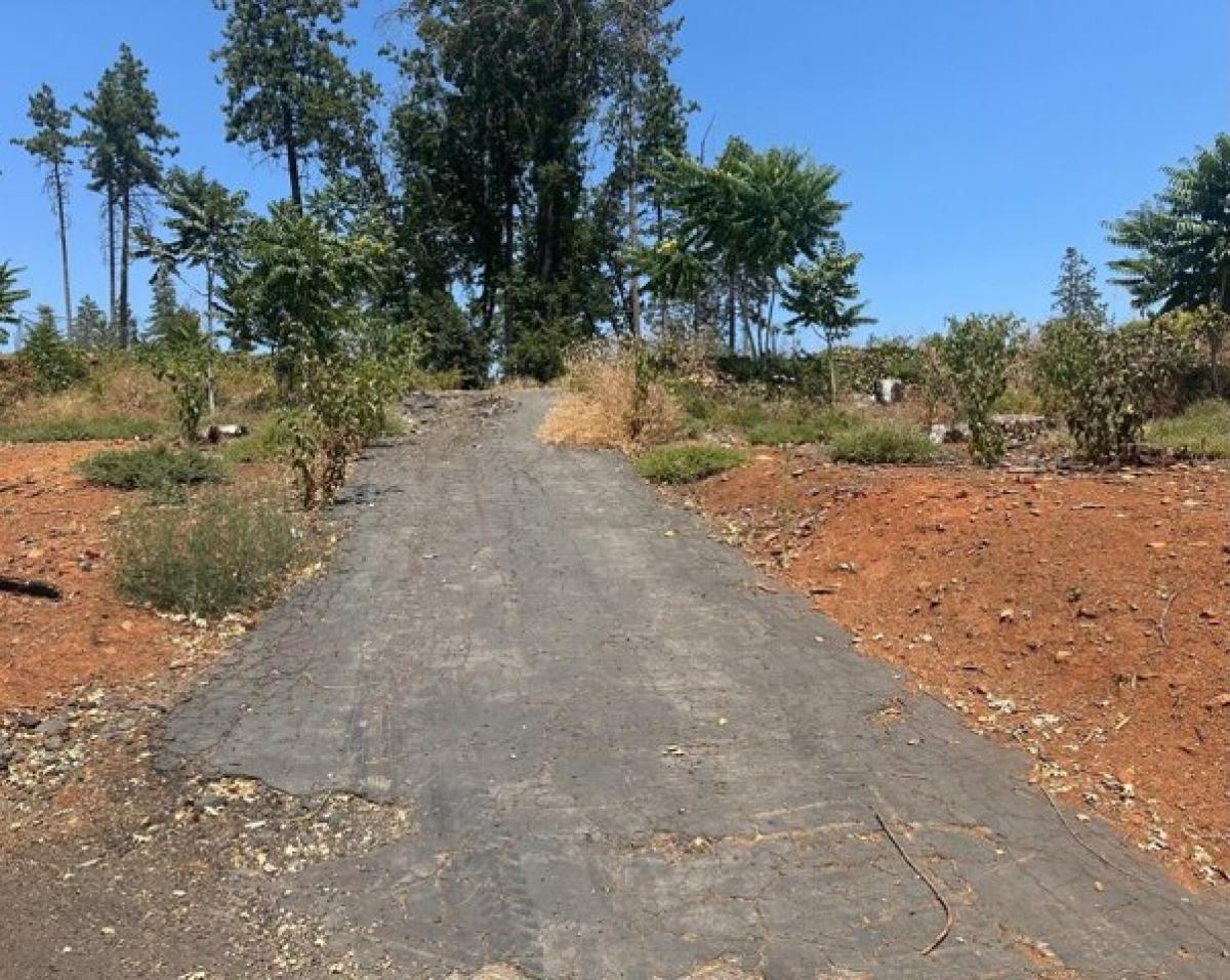 Picture of Residential Land For Sale in Paradise, California, United States