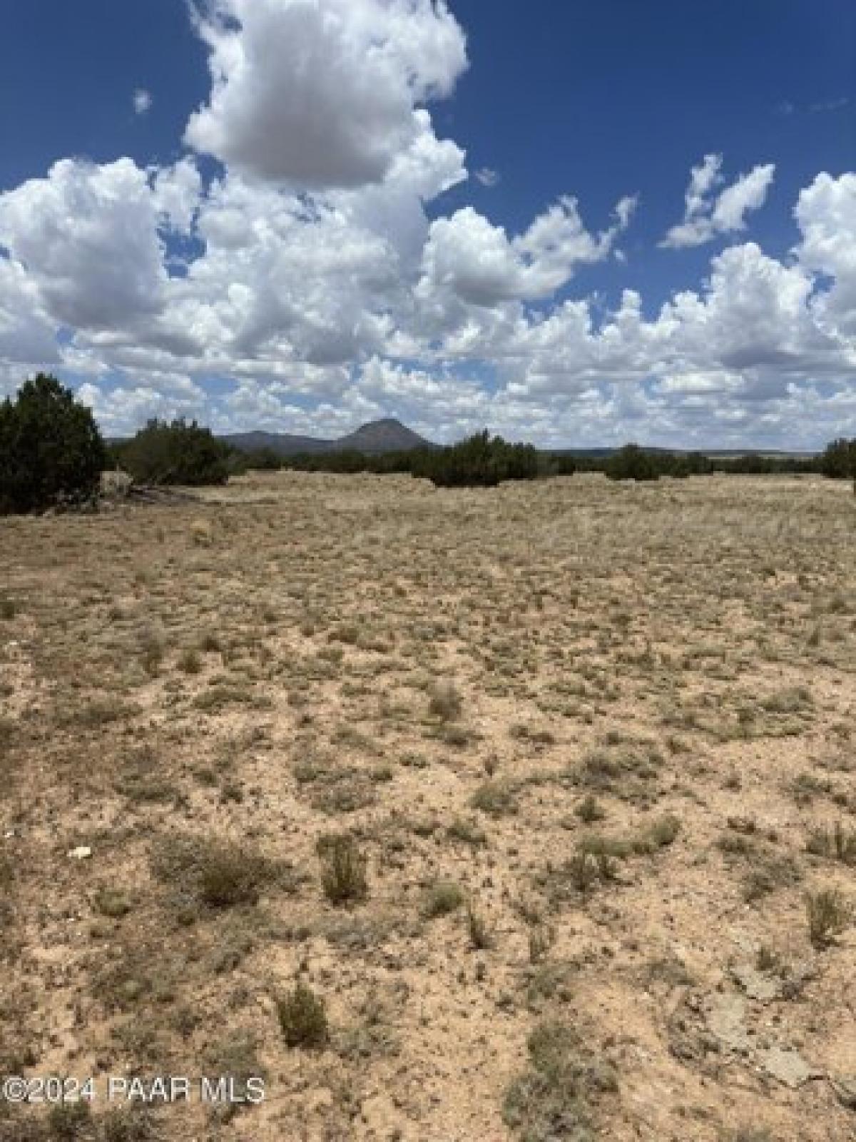 Picture of Residential Land For Sale in Ash Fork, Arizona, United States