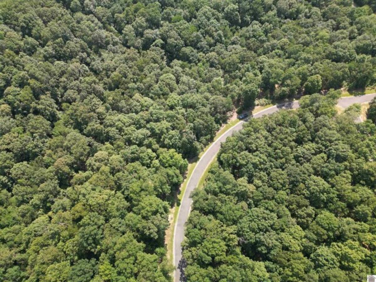 Picture of Residential Land For Sale in Murray, Kentucky, United States