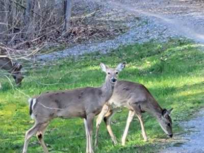 Residential Land For Sale in Dunlap, Tennessee