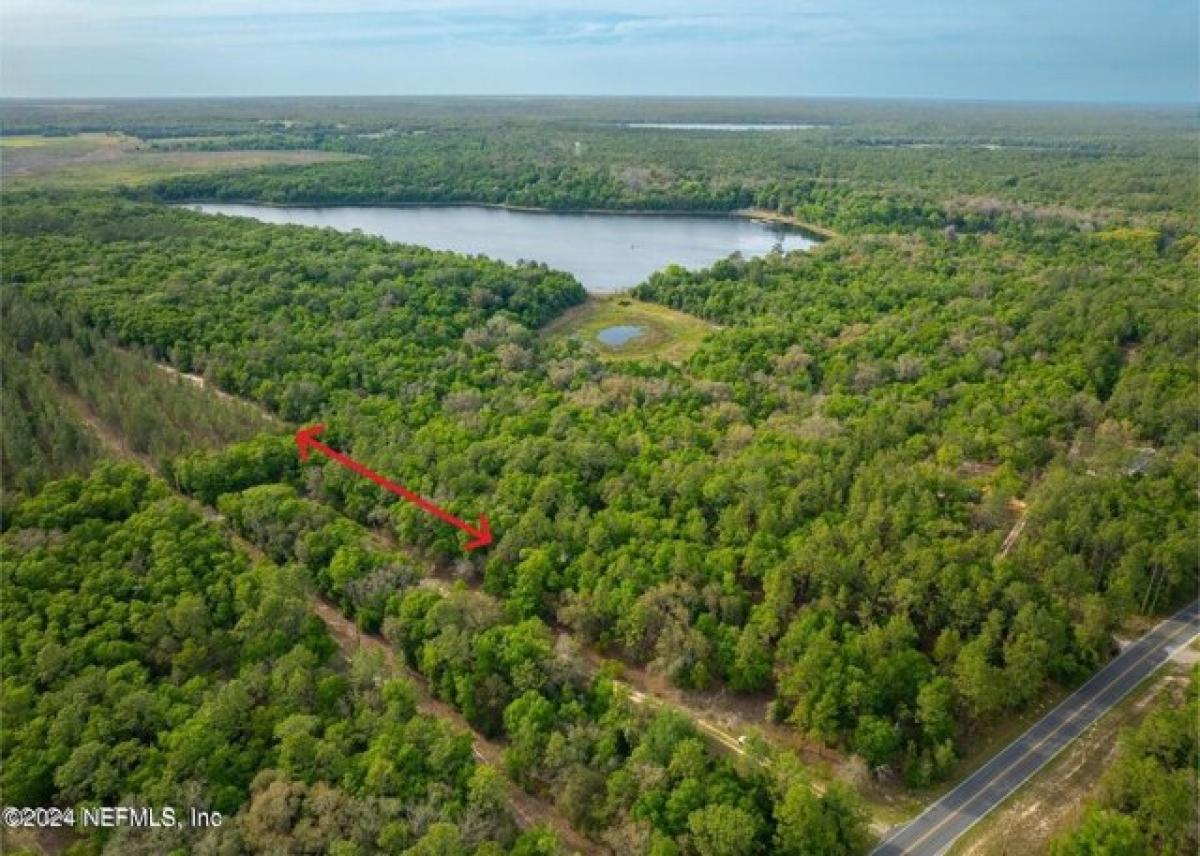 Picture of Residential Land For Rent in Hawthorne, Florida, United States