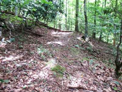 Residential Land For Sale in Franklin, North Carolina