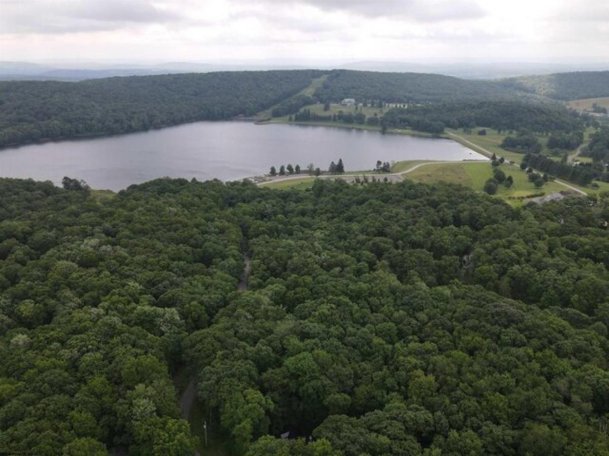 Picture of Residential Land For Rent in Terra Alta, West Virginia, United States