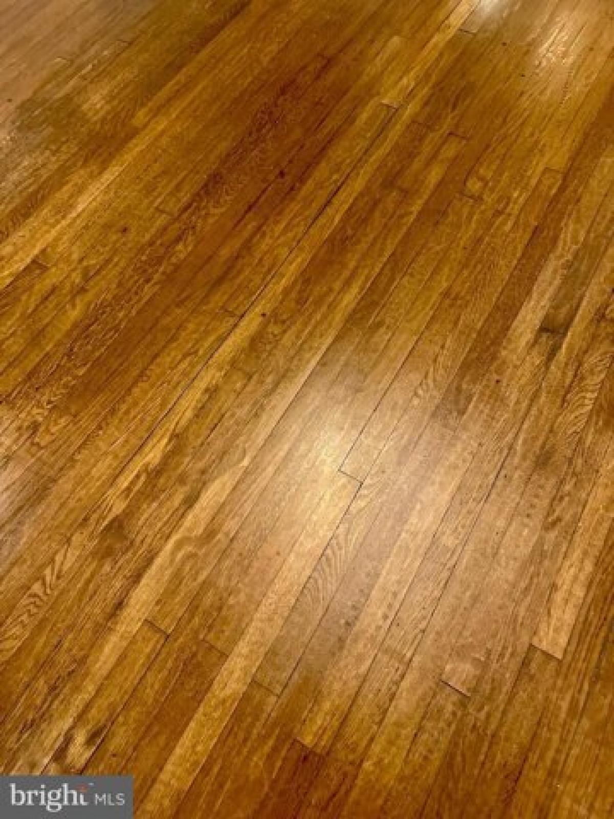 Picture of Home For Sale in Salisbury, Maryland, United States