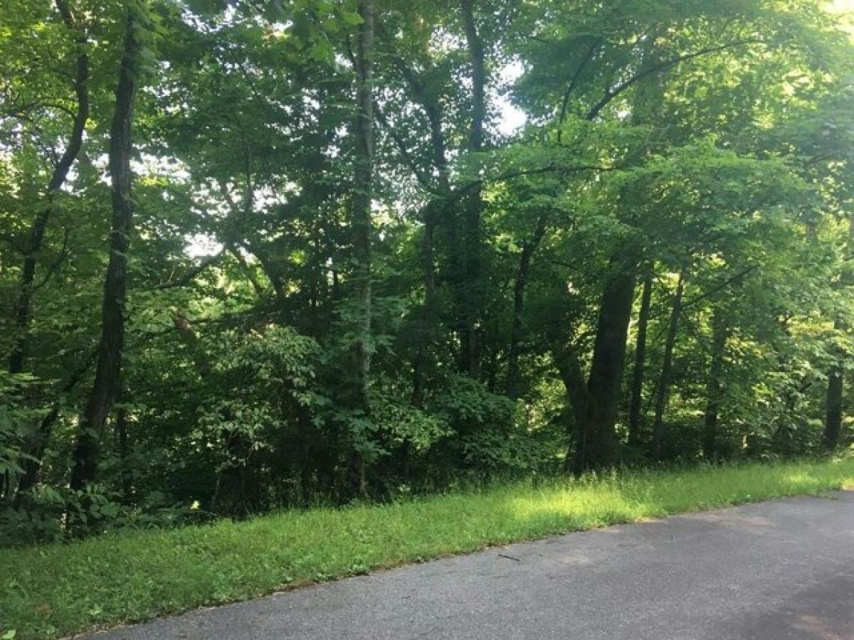 Picture of Residential Land For Sale in Franklin, North Carolina, United States