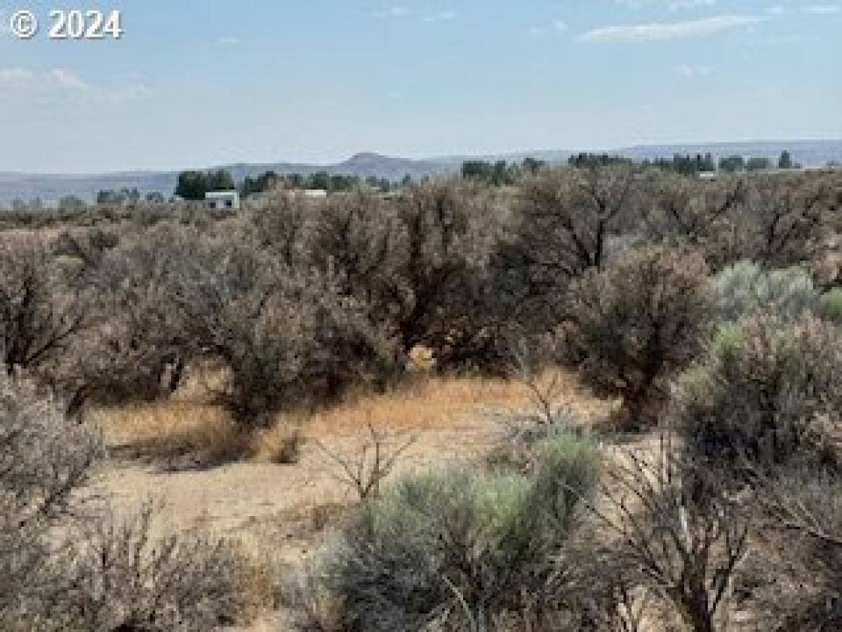 Picture of Residential Land For Rent in Christmas Valley, Oregon, United States