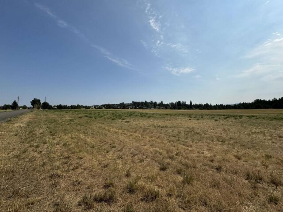 Picture of Residential Land For Sale in Cheney, Washington, United States