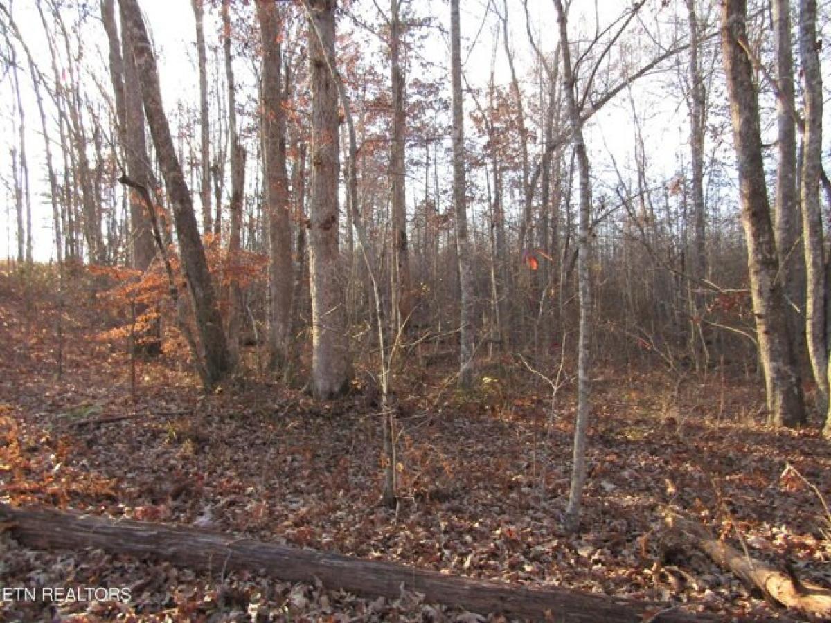 Picture of Residential Land For Sale in Monterey, Tennessee, United States