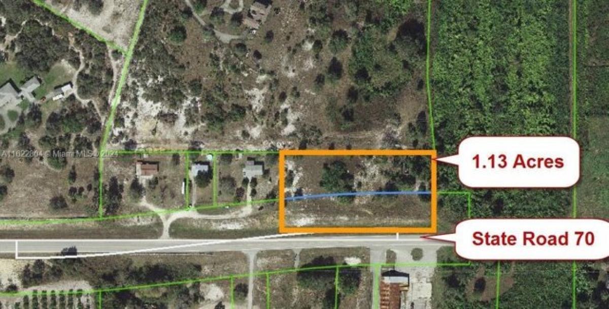 Picture of Residential Land For Sale in Lake Placid, Florida, United States