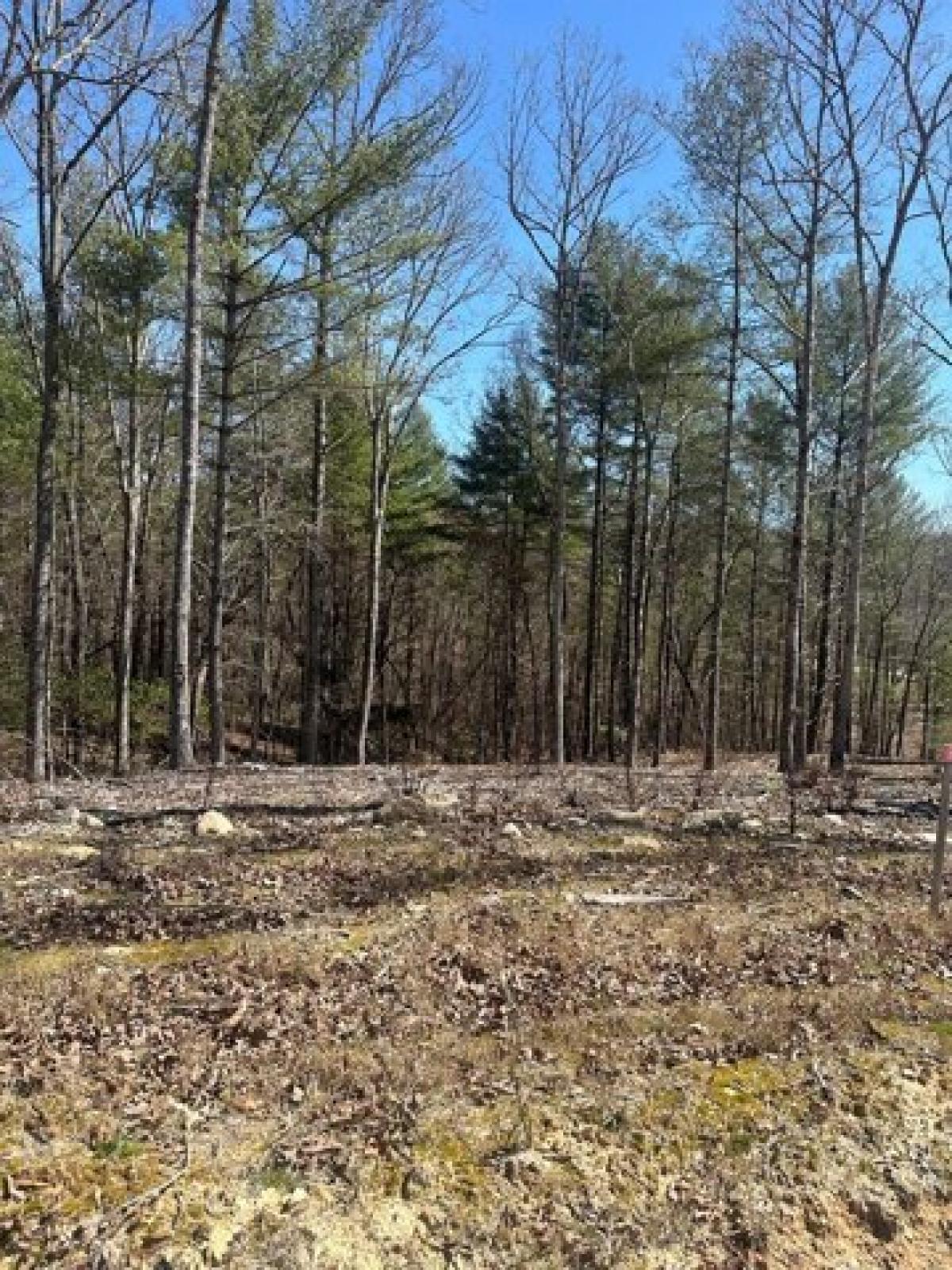 Picture of Residential Land For Sale in Morganton, Georgia, United States