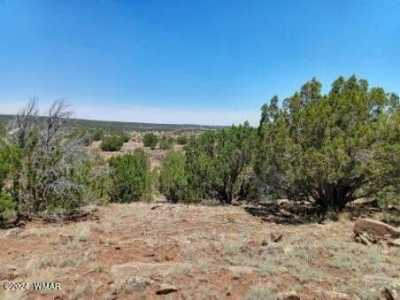 Residential Land For Sale in Concho, Arizona