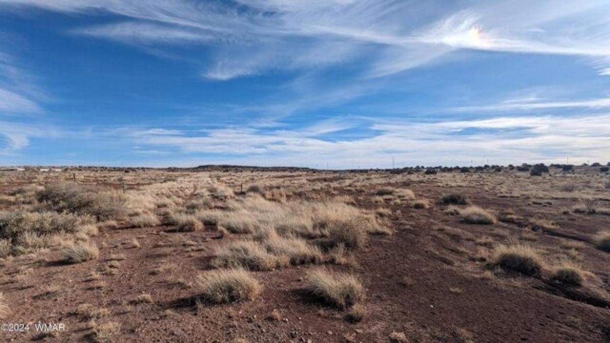 Picture of Residential Land For Sale in Saint Johns, Arizona, United States