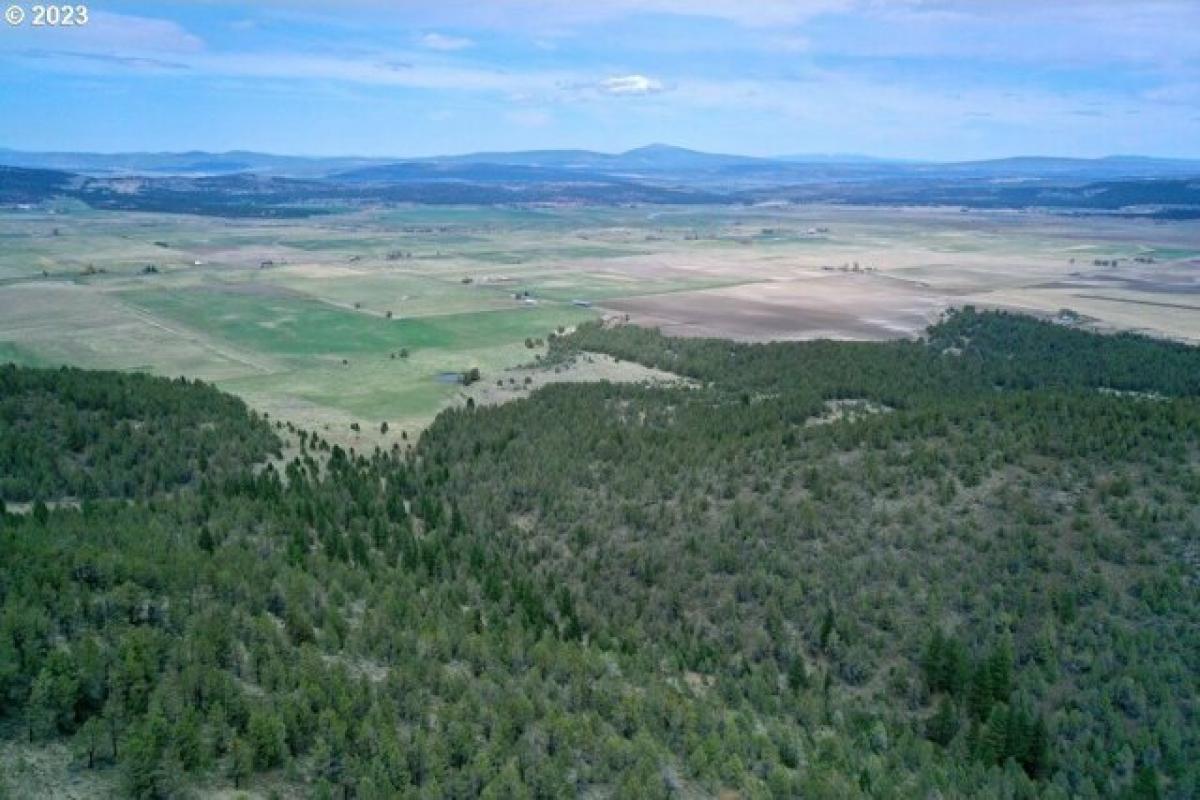 Picture of Residential Land For Sale in Klamath Falls, Oregon, United States