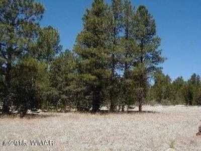 Residential Land For Sale in Overgaard, Arizona