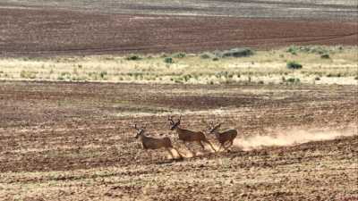 Residential Land For Sale in Dove Creek, Colorado