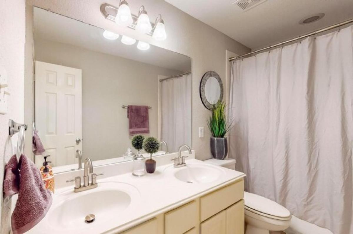 Picture of Home For Rent in Little Elm, Texas, United States