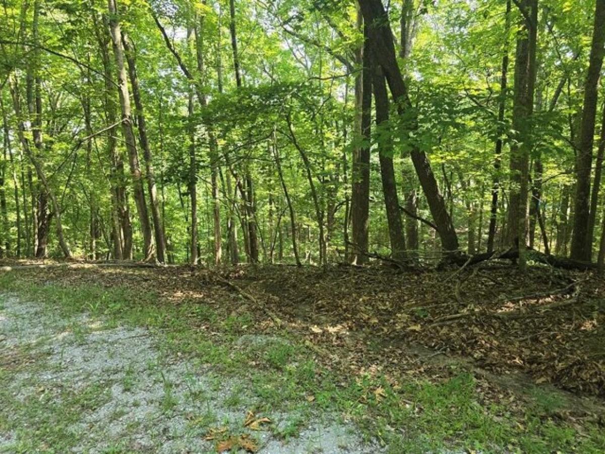 Picture of Residential Land For Rent in Crossville, Tennessee, United States