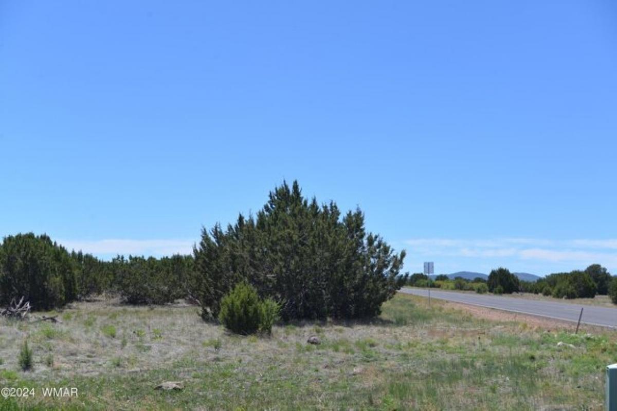 Picture of Residential Land For Sale in Show Low, Arizona, United States