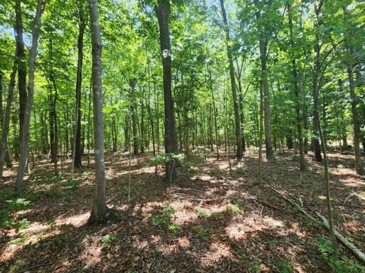 Picture of Residential Land For Sale in Pamplin, Virginia, United States