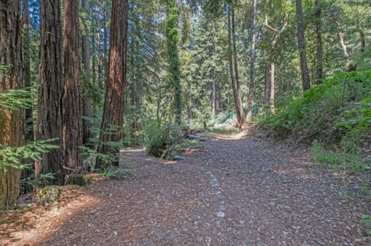 Picture of Home For Sale in Los Gatos, California, United States