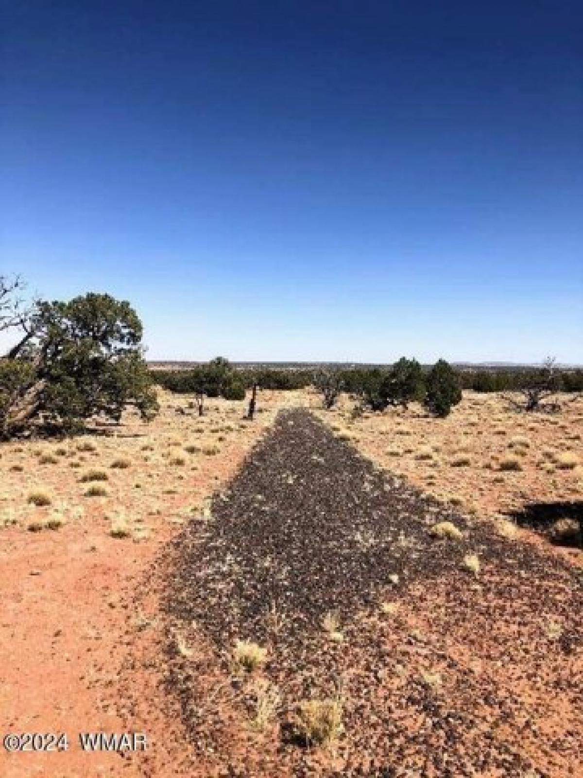 Picture of Residential Land For Sale in Concho, Arizona, United States