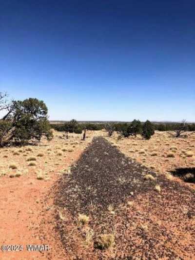 Residential Land For Sale in Concho, Arizona