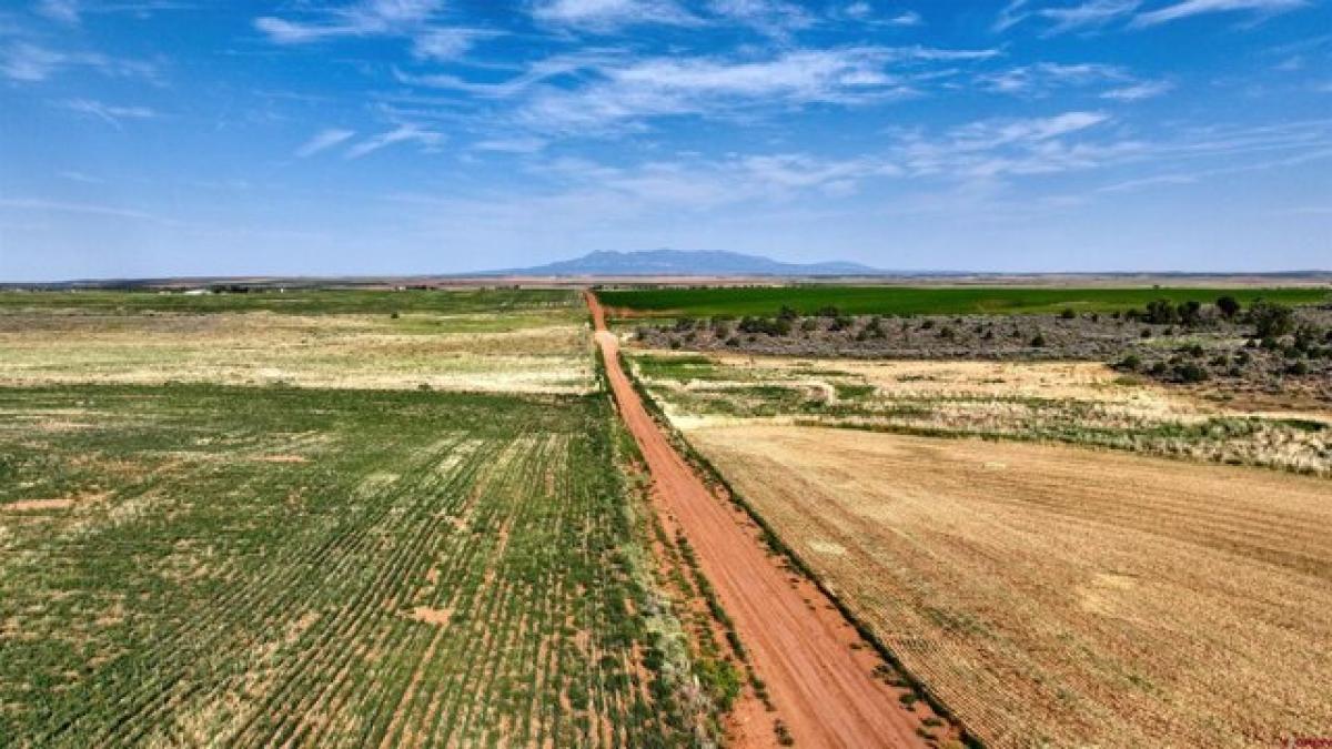 Picture of Residential Land For Sale in Dove Creek, Colorado, United States