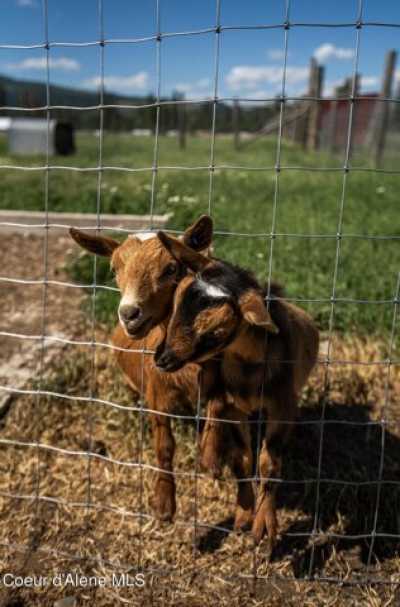 Home For Sale in Spirit Lake, Idaho