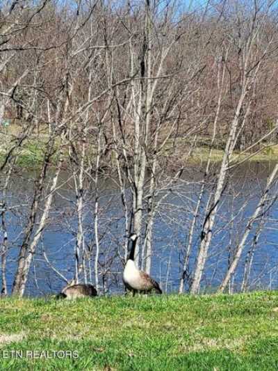 Residential Land For Sale in Dunlap, Tennessee